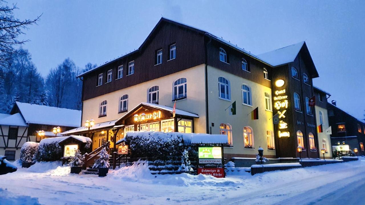 Hotel Seiffener Hof*** Εξωτερικό φωτογραφία